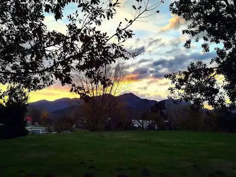 Photo de Arboreto UNISA