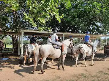 Photo de Kentucky Ranch