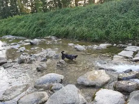 Spreitenbach