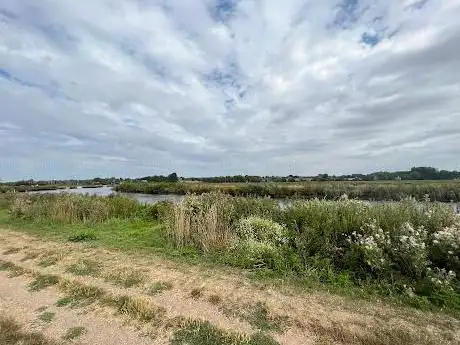 Beccles Marshes