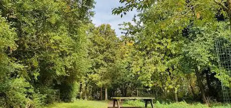Wynyard Woodland Park Adventure Playground