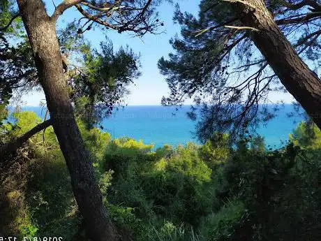 Photo de La Pinetina