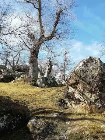 Le rocce