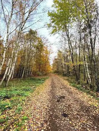 Bexbacher Bauernwald