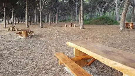 Area Picnic - Forestas