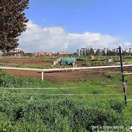 Parco della Fotografia