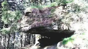 Roche Jaugeon