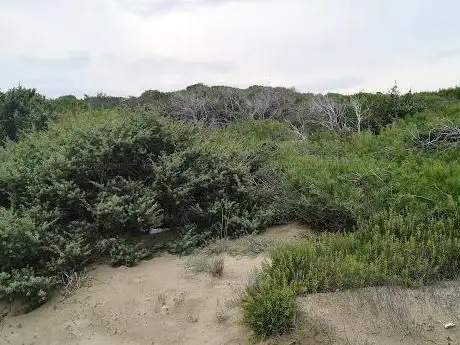 Photo de Pineta Santoro