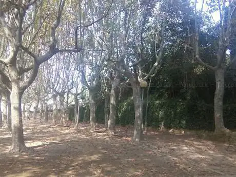 Photo de Font Cuitora
