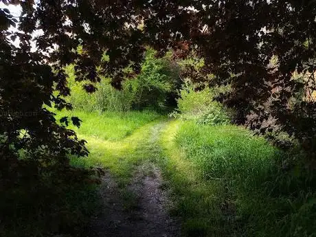 Photo de Greenfield Recreation Ground