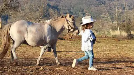 Photo de Les minis d'Edapas