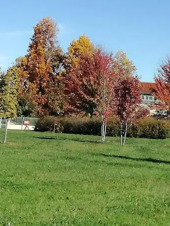 Ludoteca comunale