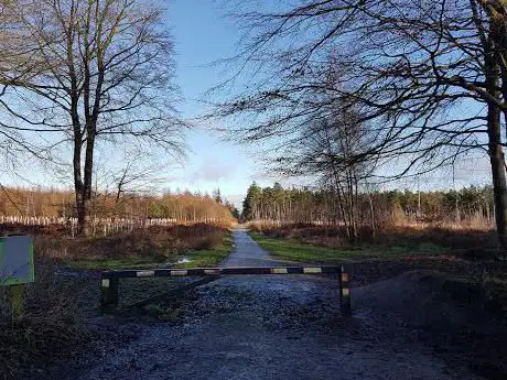 Photo de Swynnerton Old Park