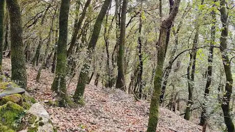 Ruta dels Volcans de St. Marc I del Puig Roig