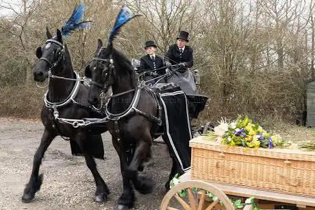 Photo de Maple Leaf Carriage Co