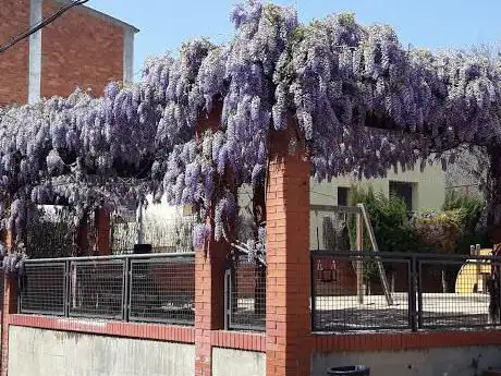 Photo de Parc del MilÂ·lenari