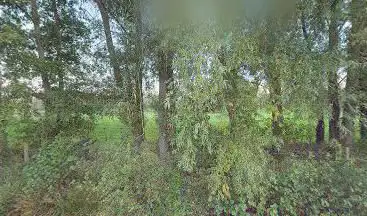 Championship Course hole 5