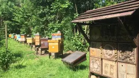 Jardin d'abeilles de Jette