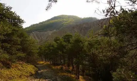 Val Dorgola