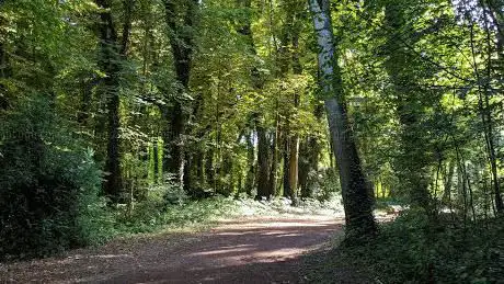 Photo de Parc du Chevalier