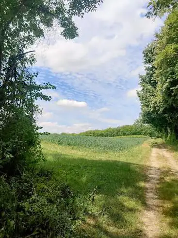 Isteiner Klotz