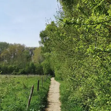 Photo de Natuurgebied De Sulferberg