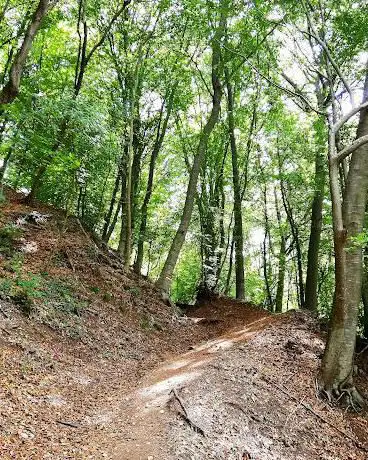 Sentiero Natura - Tretto