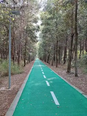 Photo de Pista Ciclabile San Salvo Marina