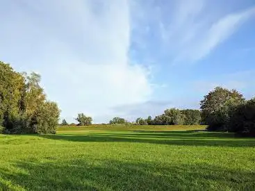 Polder Kollerinsel