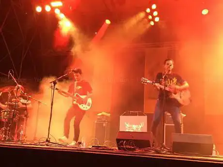 Frogstock Festival