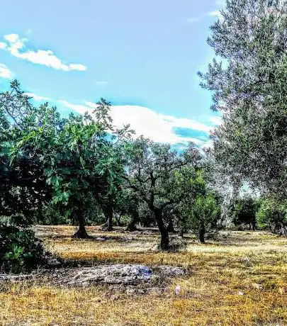 Photo de Casa di Preghiera