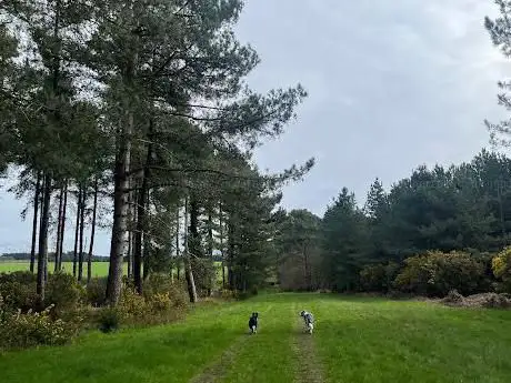 Photo de Swaffham Heath