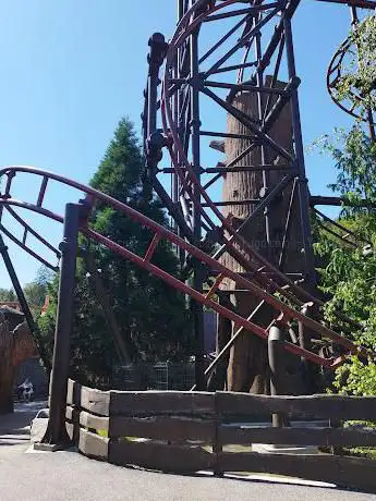Timber Drop