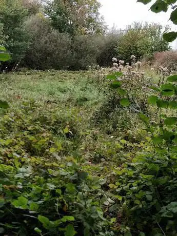 Réserve naturelle du Moeraske