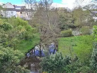 Photo de Etang de la Rousselière