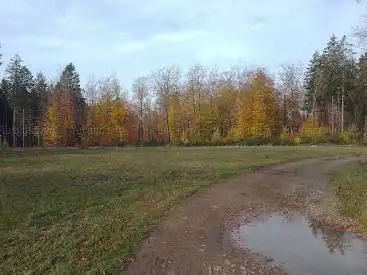 Kleinlangenfelder Wald