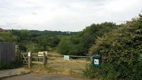 Filsham Reedbeds - Reedswood Road Access Point