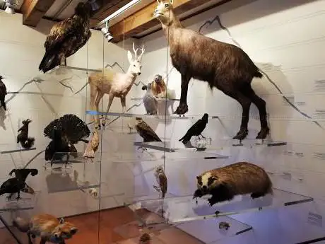 Photo de Museo di Storia Naturale del Baldo e del Garda