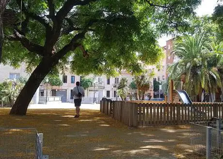 Photo de Plaça de les Palmeres
