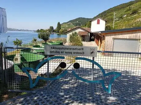 Sentier des poissons du lac de Bienne