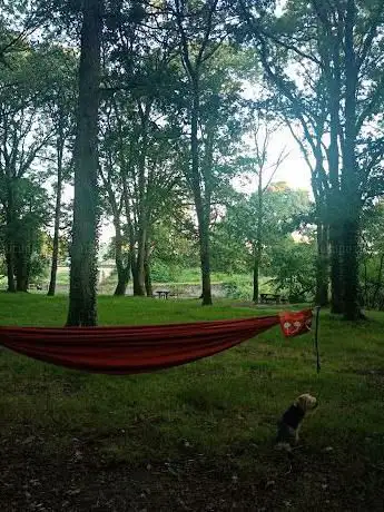 AIRE DE STATIONNEMENT CAMPING CAR