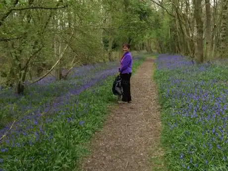 Photo de RSPB Church Wood