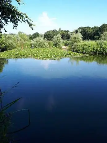 Photo de Gold Valley Lakes