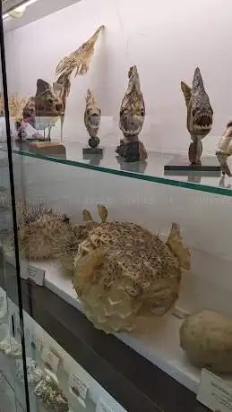 Photo de Museo Padre Aurelio Menin