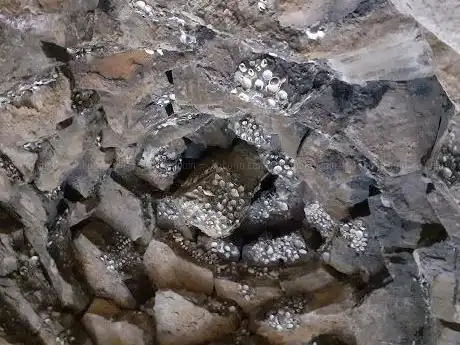 Shell Grotto