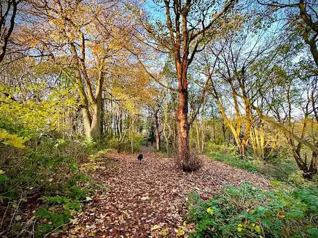 Photo de Nature Reserve Otterspool - UK