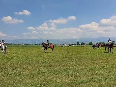 Photo de Centro Equestre Albereria Srl
