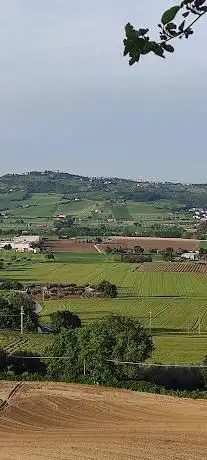 Photo de Chiesa di San Pietro