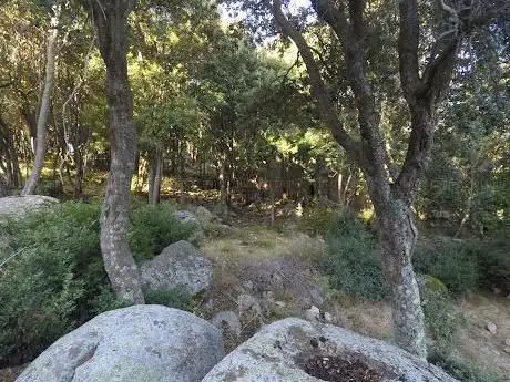 Parco di Mònti Castéddu