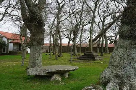 Carballeira de Santa Margarida de Montemaior